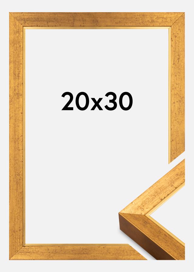 Okvir Brema Akrylglas Zlato 20x30 cm