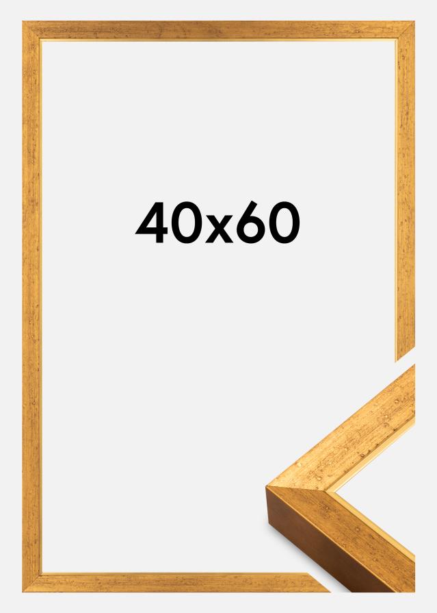 Okvir Brema Akrilno steklo Zlata 40x60 cm