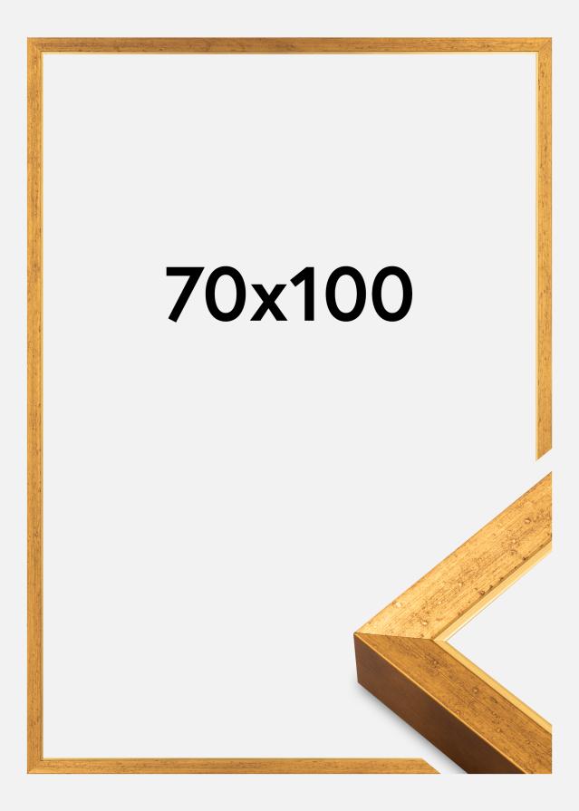 Okvir Brema Akrylglas Zlata 70x100 cm
