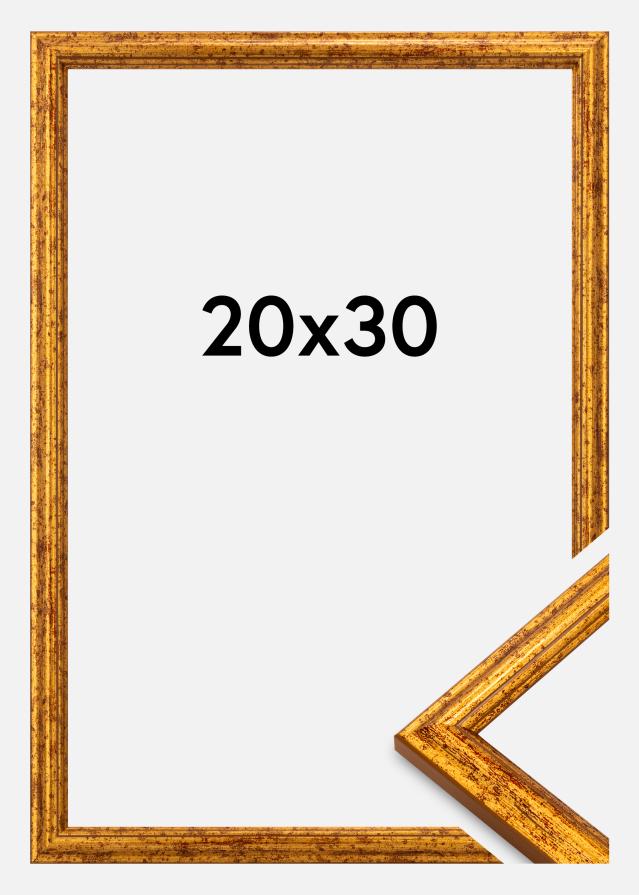 Okvir Claudia Akrylglas Zlata 20x30 cm