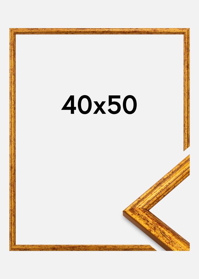 Okvir Claudia Akrylglas Zlata 40x50 cm