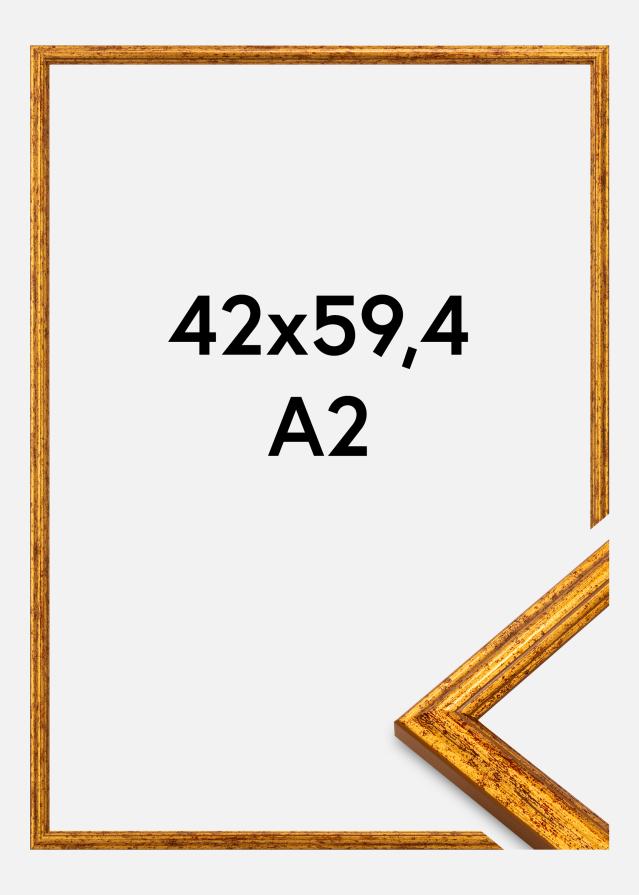 Okvir Claudia Akrylglas Zlata 42x59,4 cm (A2)