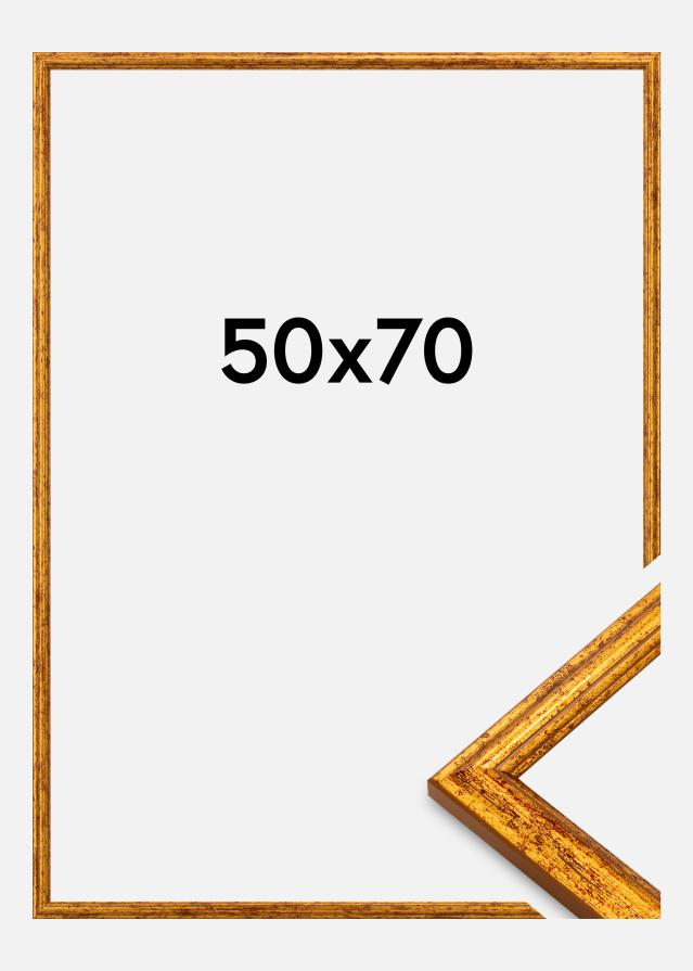 Okvir Claudia Akrylglas Zlata 50x70 cm