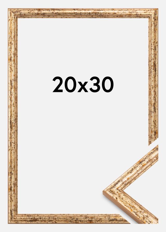 Okvir Claudia Akrylglas Srebro 20x30 cm