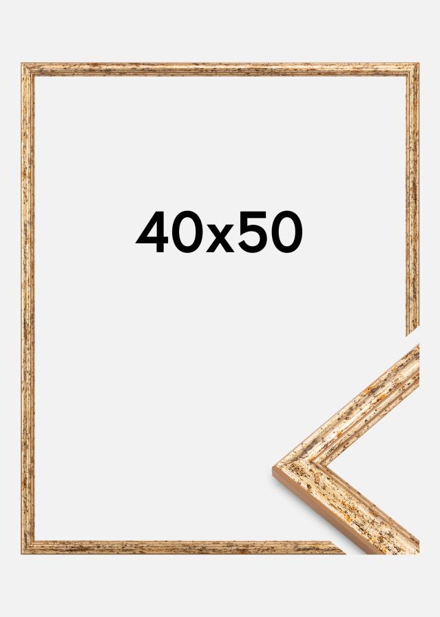 Okvir Claudia Akrilno steklo Srebrna 40x50 cm