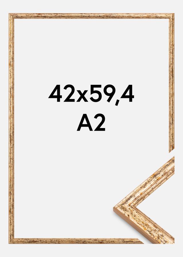 Okvir Claudia Akrylno steklo Srebrna 42x59,4 cm (A2)