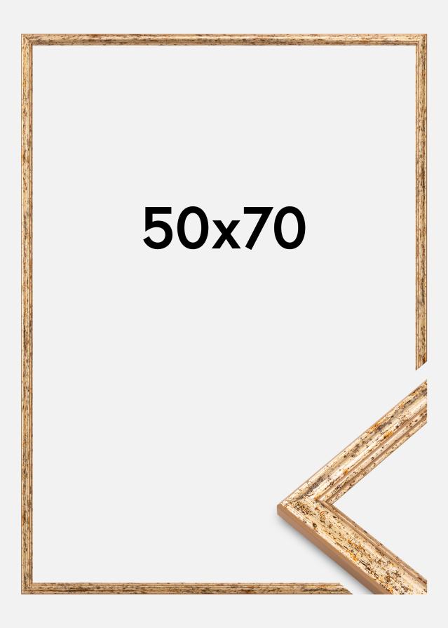 Okvir Claudia Akrilno steklo Srebro 50x70 cm