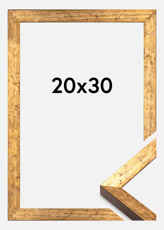 Okvir Dune Akrylglas Zlata 20x30 cm