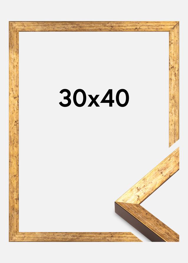 Okvir Dune Akrylglas Zlato 30x40 cm