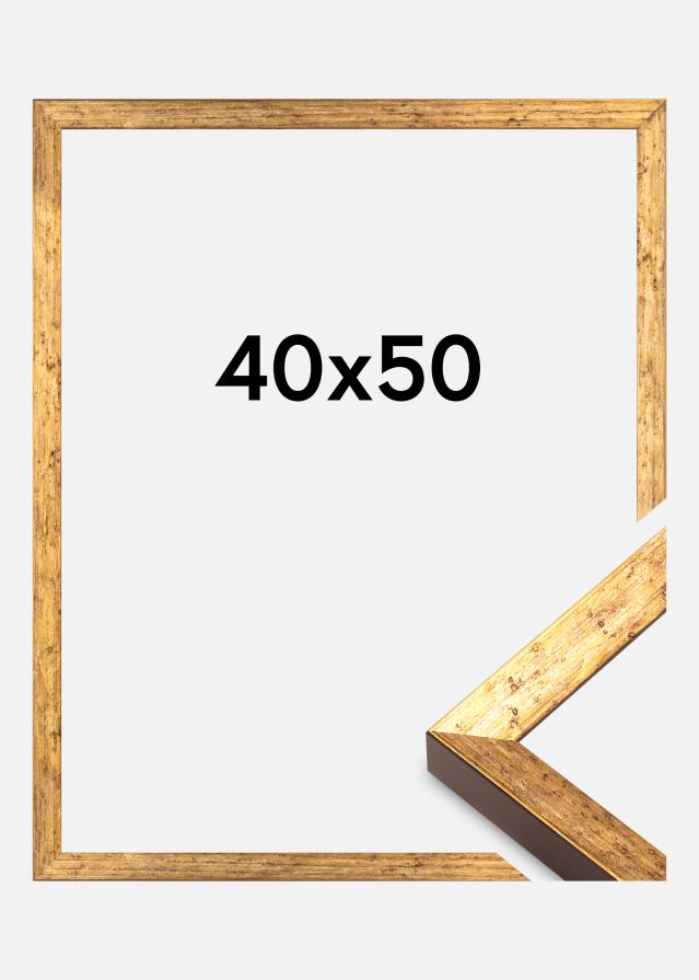 Okvir Dune Akrylglas Zlata 40x50 cm