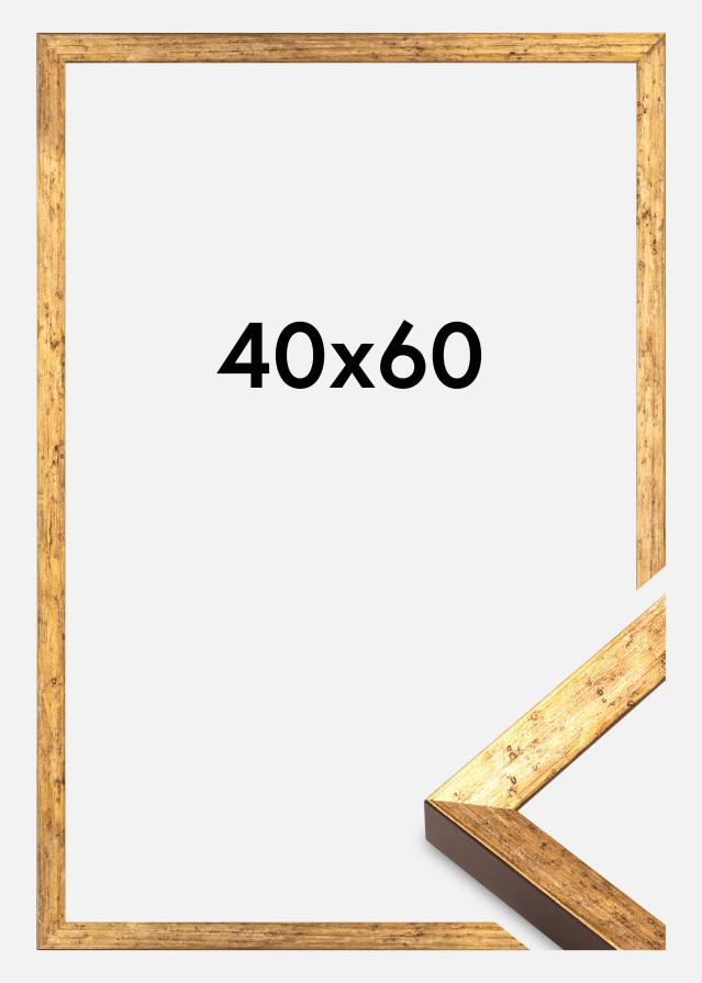 Okvir Dune Akirilno Steklo Zlato 40x60 cm