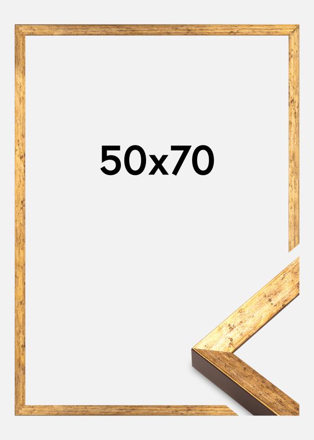 Okvir Dune Akrylglas Zlata 50x70 cm