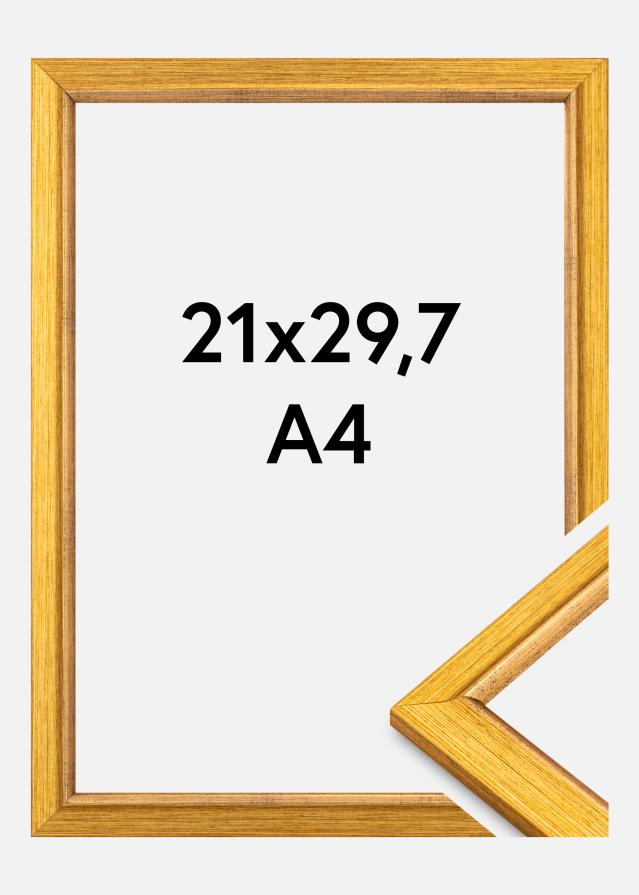 Okvir Marisa Akrylno steklo Zlata 21x29,7 cm (A4)