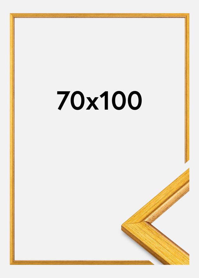 Okvir Marisa Akrylno steklo Zlata 70x100 cm