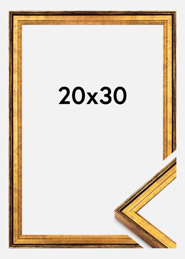Okvir Ringa Akrilno steklo Zlato 20x30 cm