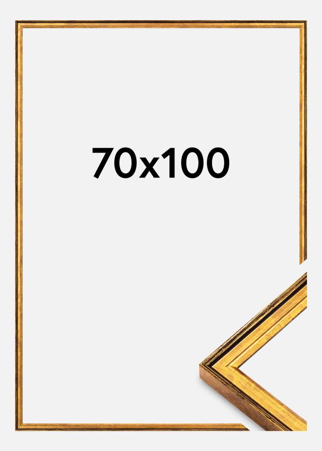 Okvir Ringa Akrilno steklo Zlata 70x100 cm