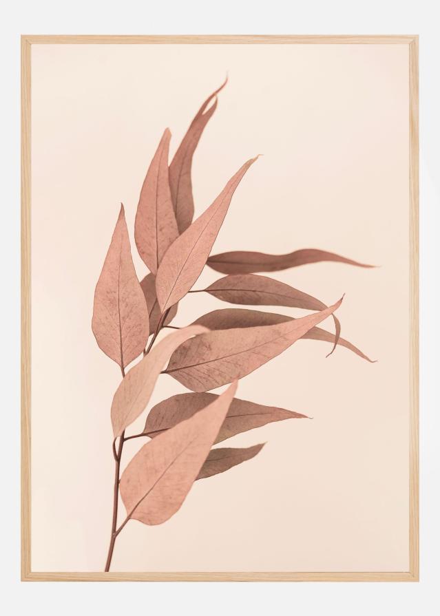 Dried Eucalyptus Poster