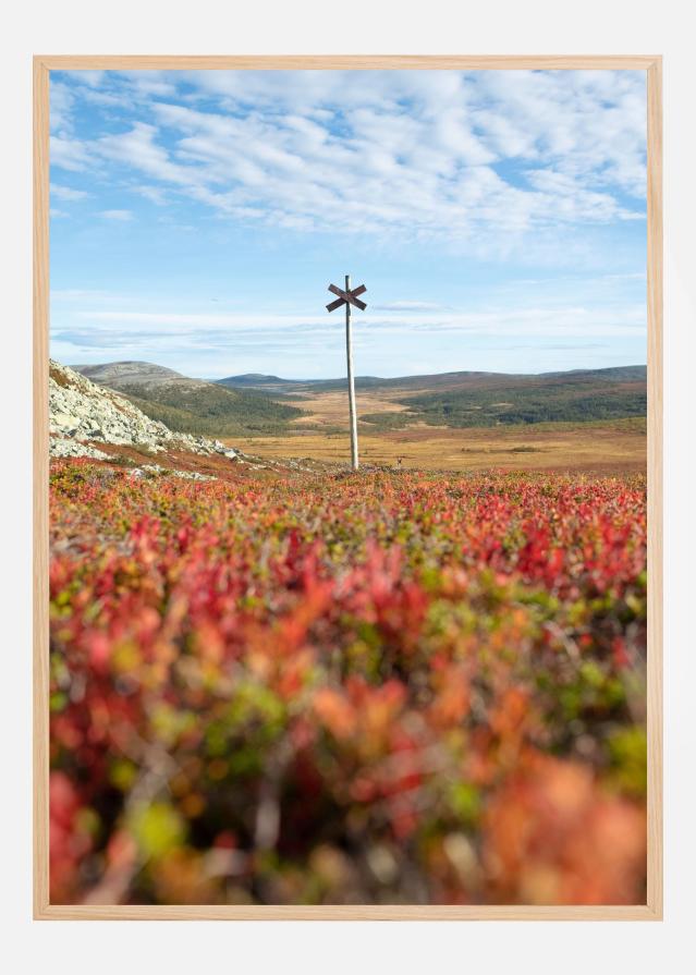 Summer ridge waypoint Poster