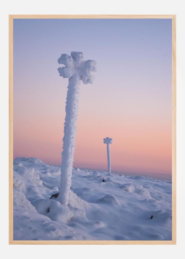 Winter blossoms Poster