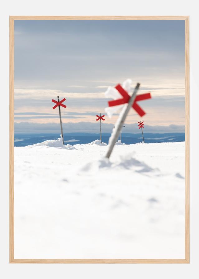 Red signs in the silence Poster