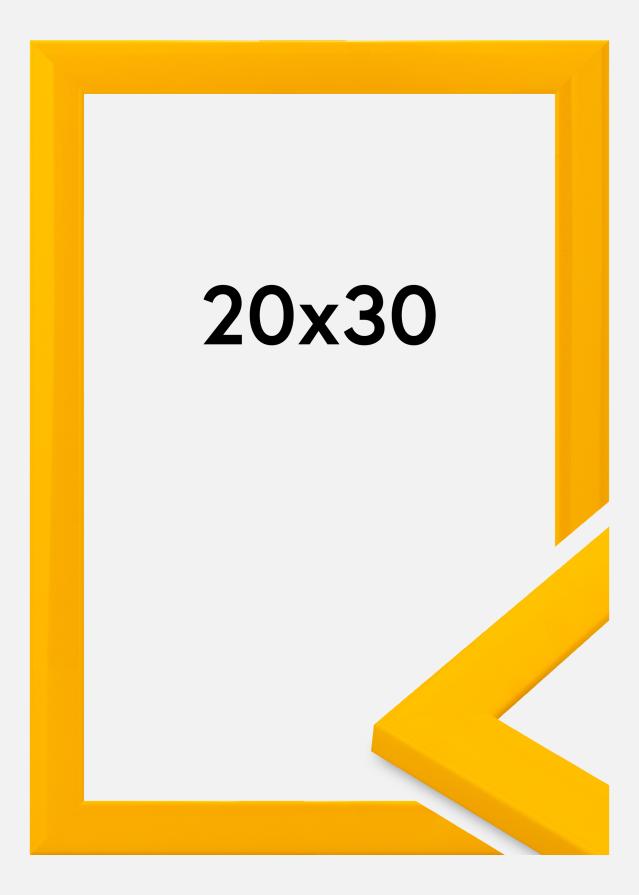 Okvir Dorset Akrilno steklo Zlato 20x30 cm