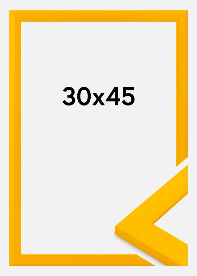 Okvir Dorset Akrilno steklo Zlato 30x45 cm