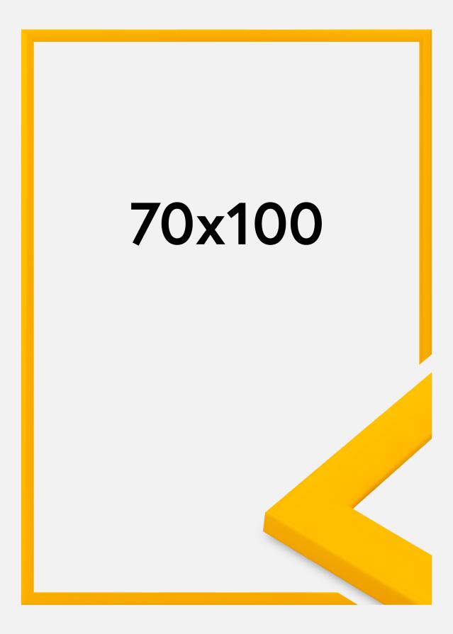 Okvir Dorset Akrilno steklo Zlato 70x100 cm