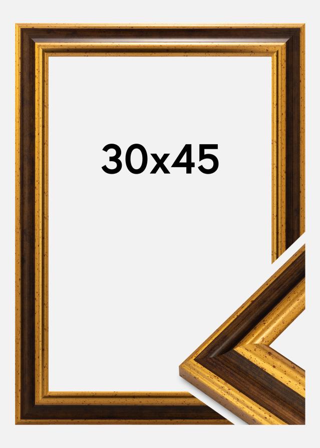 Okvir Aberystwyth Akrilno steklo Zlato 30x45 cm