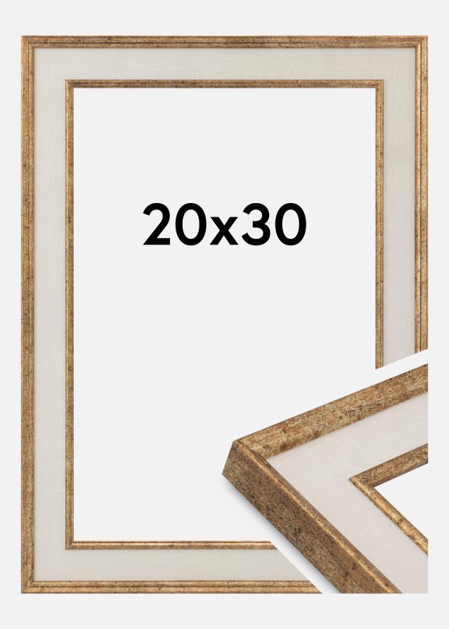 Okvir Dolly Akrilno steklo Zlato 20x30 cm