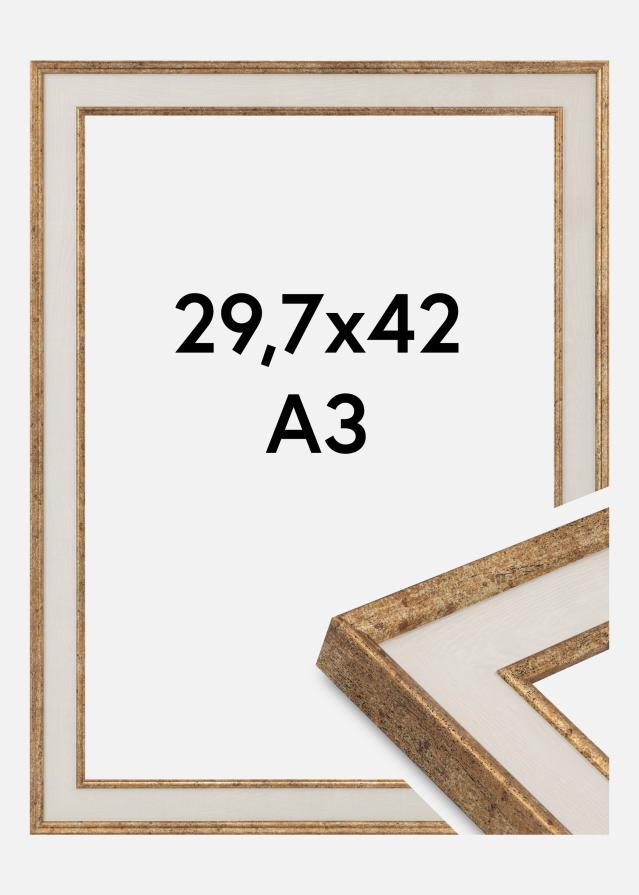 Okvir Dolly Akrilno steklo Zlato 29,7x42 cm (A3)