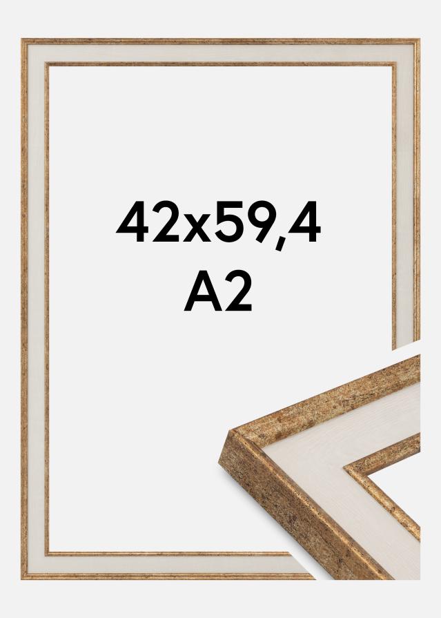 Okvir Dolly Akrilno steklo Zlato 42x59,4 cm (A2)
