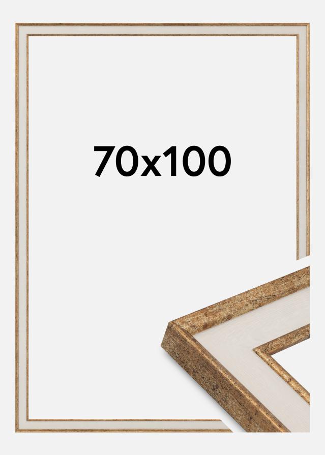 Okvir Dolly Akrilno steklo Zlato 70x100 cm