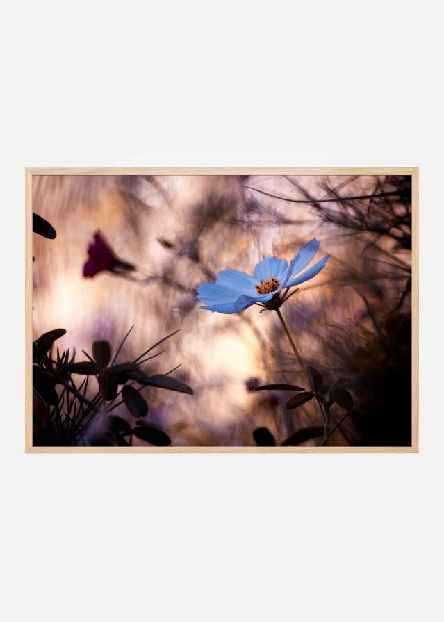 L’Indifférence Poster