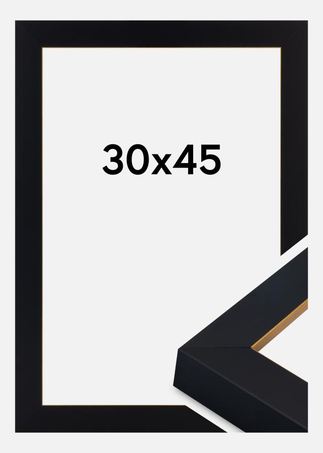 Okvir Sussex Akrilno steklo Črna/Zlata 30x45 cm