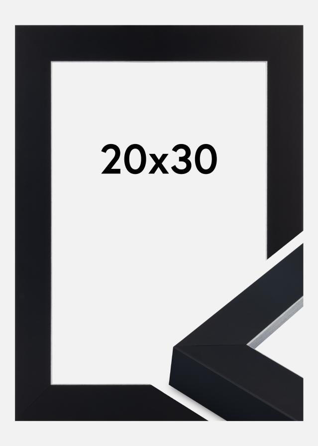 Okvir Sussex Akrilno steklo Črna/Srebrna 20x30 cm