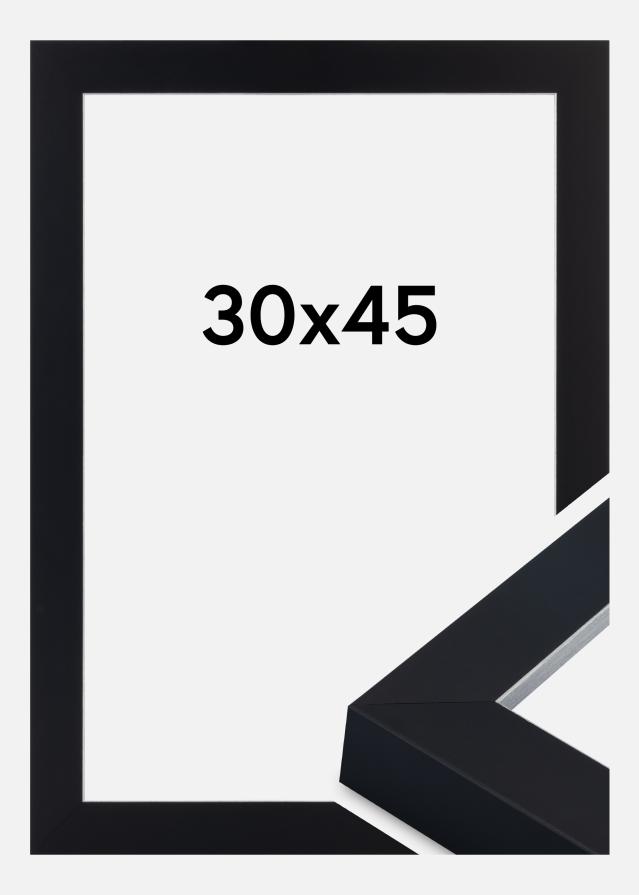 Okvir Sussex Akrilno steklo Črna/Srebrna 30x45 cm