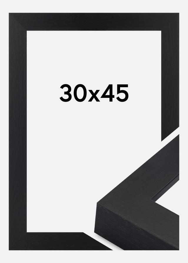 Okvir Wells Akrilno steklo Črna 30x45 cm