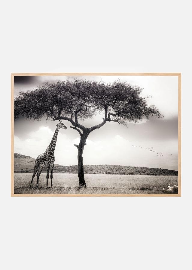 Under the African sun Poster