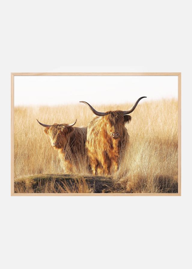 Young and old Highlander Poster