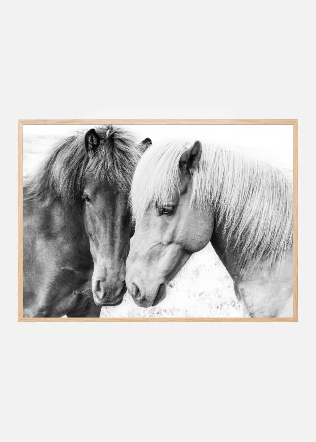 Horse Love Poster
