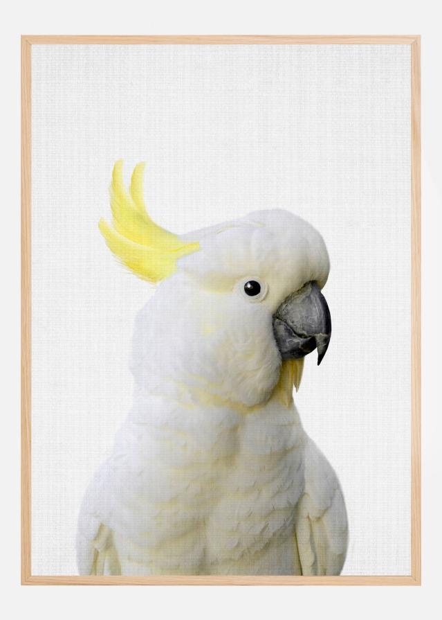 Peekaboo Cockatoo Poster