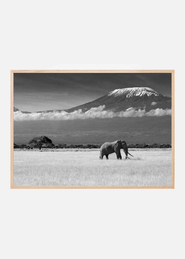 Lost Colors II Poster