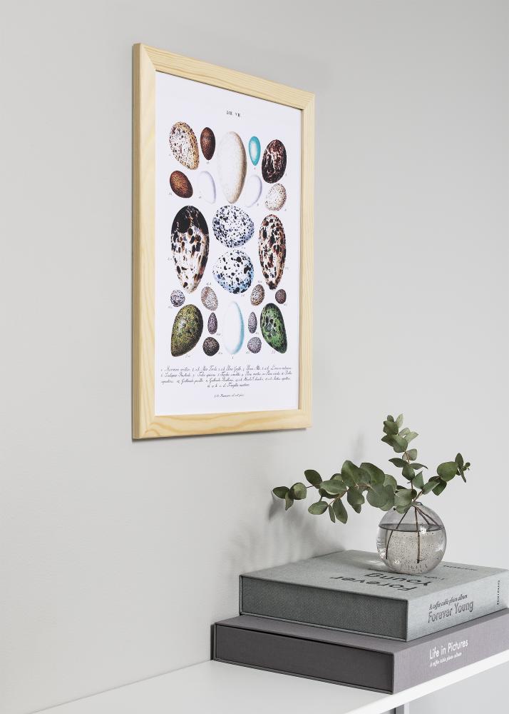 Okvir Trendline narave 40x40 cm - Paspartȗ Bela 10x10 inches