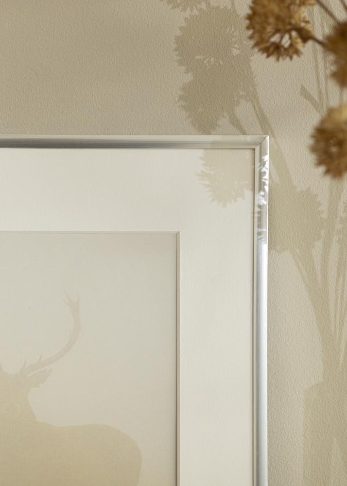 Okvir New Lifestyle Srebrna 10x18 cm - Paspartȗ Bela 8x10 cm