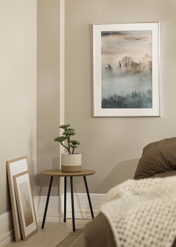 Okvir New Lifestyle Srebrna 10x18 cm - Paspartȗ Bela 8x10 cm