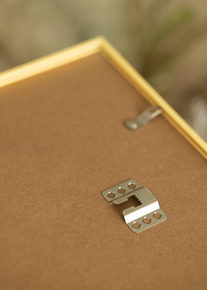 Okvir New Lifestyle zlato 60x90 cm - Paspartȗ Bela 50x75 cm