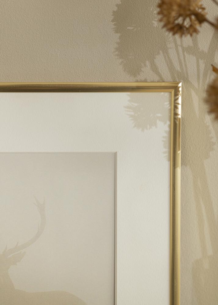 Okvir New Lifestyle zlato 60x90 cm - Paspartȗ Bela 50x75 cm