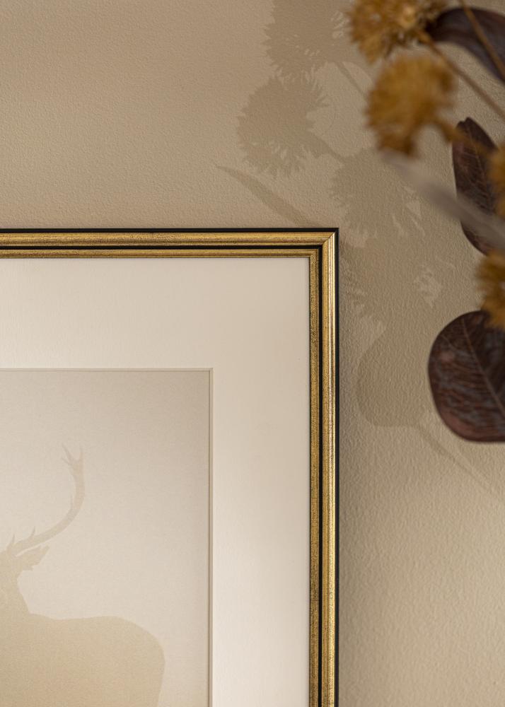 Okvir Horndal Akrilno steklo Zlata 7x10 cm