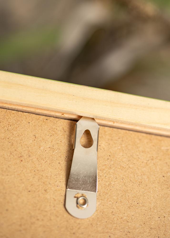 Okvir Diana Svetlo zelena 60x80 cm - Paspartout Bela 20x27 inches