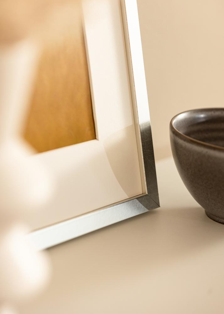 Okvir Minerva Srebrna 30x40 cm - Paspartȗ Bela 20x28 cm